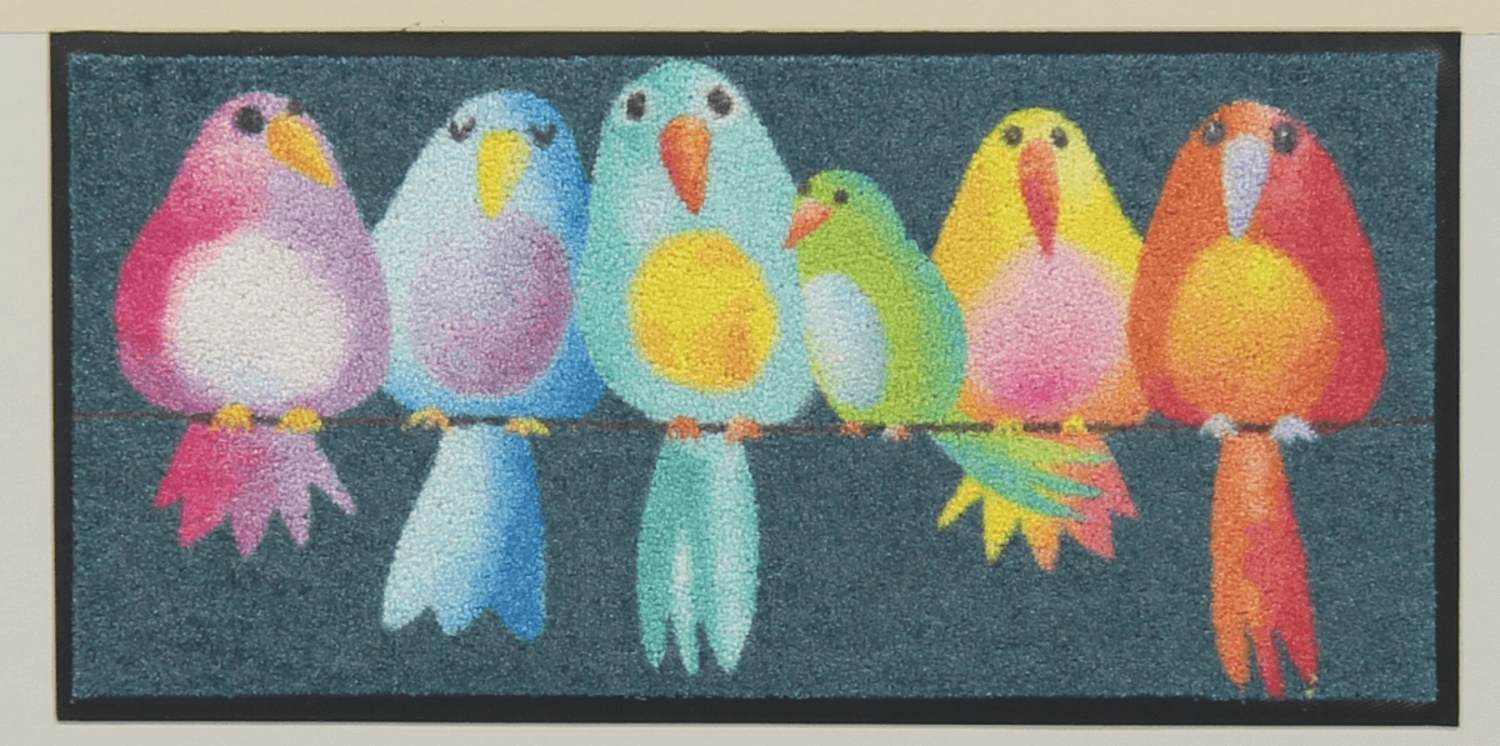 salonloewe-fussmatte-rainbow-birds-eingangsmatte-30-x-60-cm image 1