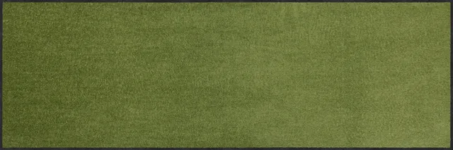 salonloewe-salbei-l-ufer-60-x-180-cm-gr-n-waschbar-trocknergeeignet-rutschfest image 1