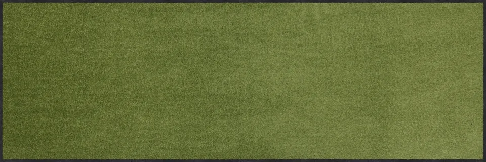 salonloewe-salbei-l-ufer-60-x-180-cm-gr-n-waschbar-trocknergeeignet-rutschfest image 1