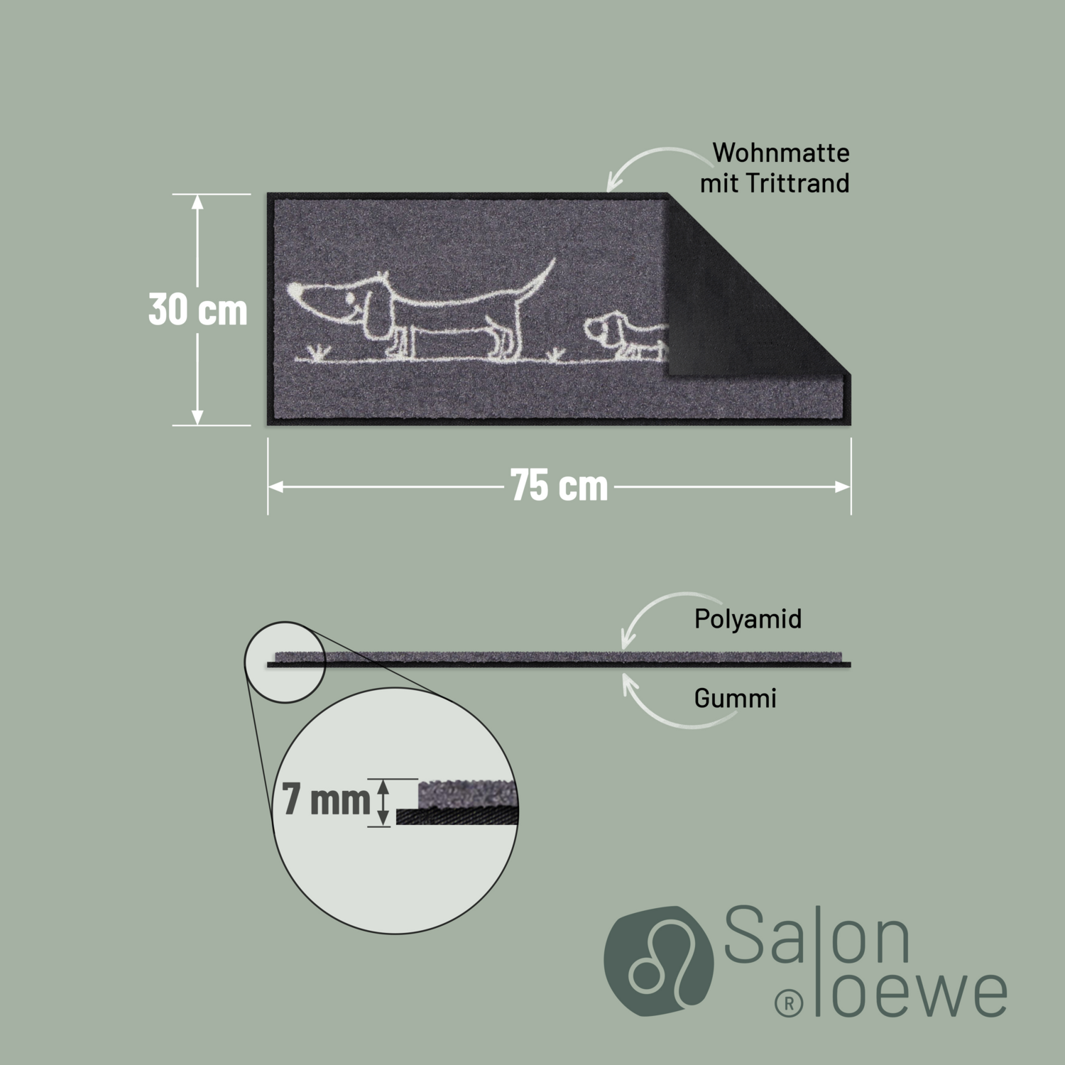salonloewe-hereingedackelt-eingangsmatte-30-x-75-cm image 4