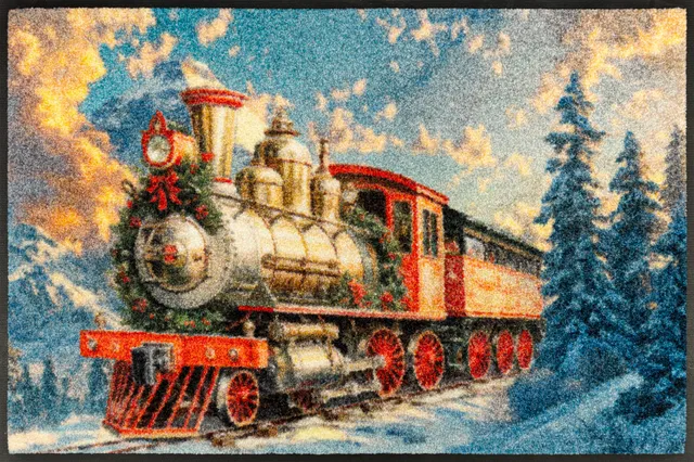 wash-dry-snow-express-fu-matte-50x75-cm-waschbar-f-r-innen image 1