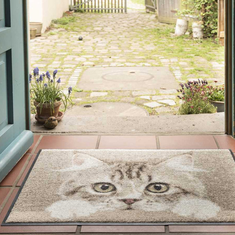 salonloewe-nosy-cat-eingangsmatte-50-x-75-cm-waschbare-fu-matte-mit-katzenmotiv image 2