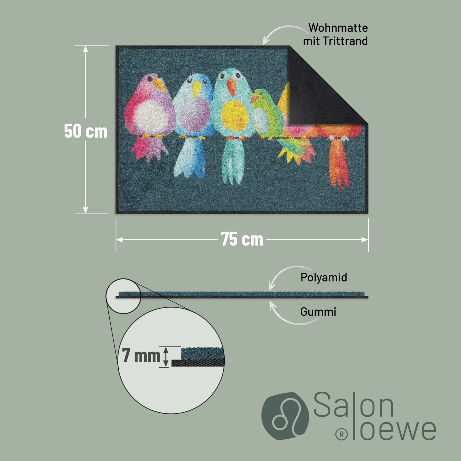 salonloewe-fussmatte-rainbow-birds-eingangsmatte-50-x-75-cm-waschbar-bunt image 4