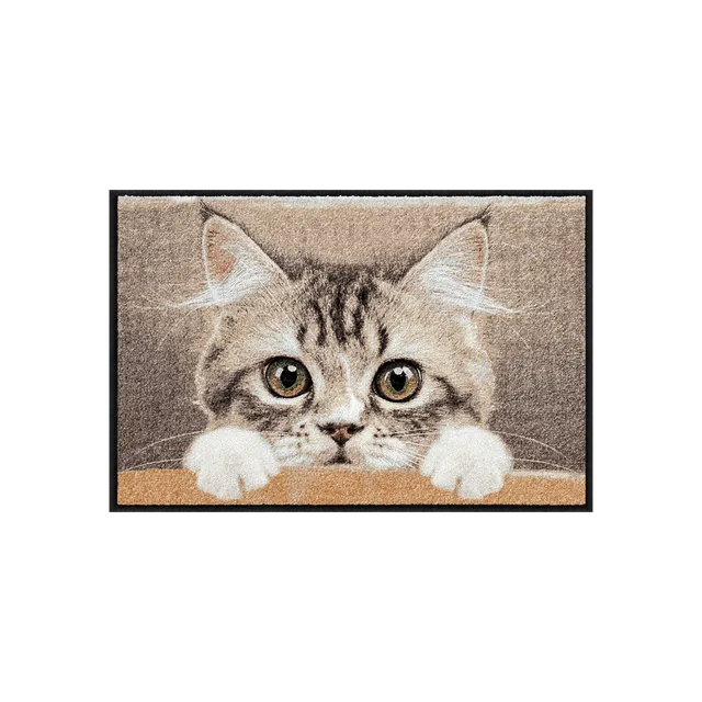 salonloewe-nosy-cat-eingangsmatte-50-x-75-cm-waschbare-fu-matte-mit-katzenmotiv image 1
