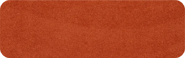 salonloewe-cayenne-halb-rund-30-x-100-cm-halbrunde-waschbare-fu-matte-in-terrako image 1
