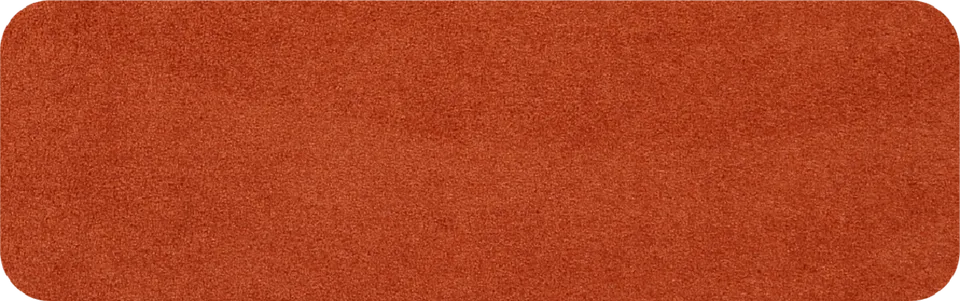 salonloewe-cayenne-halb-rund-30-x-100-cm-halbrunde-waschbare-fu-matte-in-terrako image 1