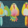 salonloewe-fussmatte-rainbow-birds-eingangsmatte-50-x-75-cm-waschbar-bunt image 7