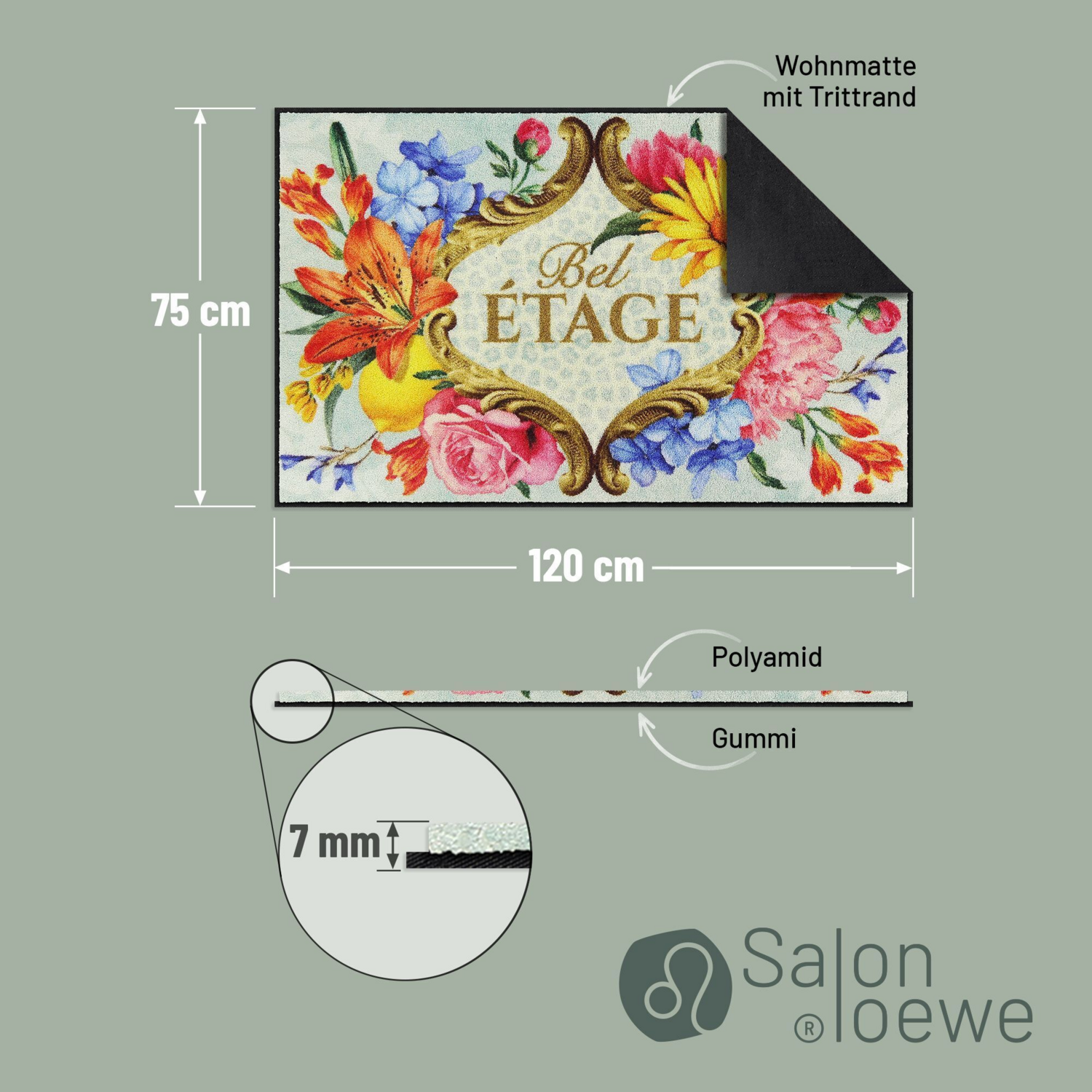 salonloewe-bel-tage-teppich-eingangsmatte-75-x-120-cm-gro-e-waschbare-fu-matte image 8