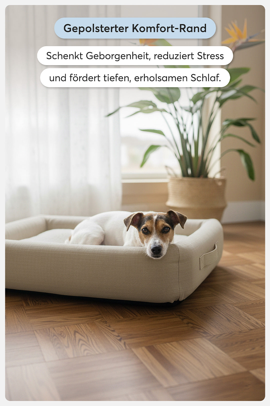 teppana-orthop-disches-hundebett-pure-beige-premium-memory-foam-hundebett-mit-wa image 3