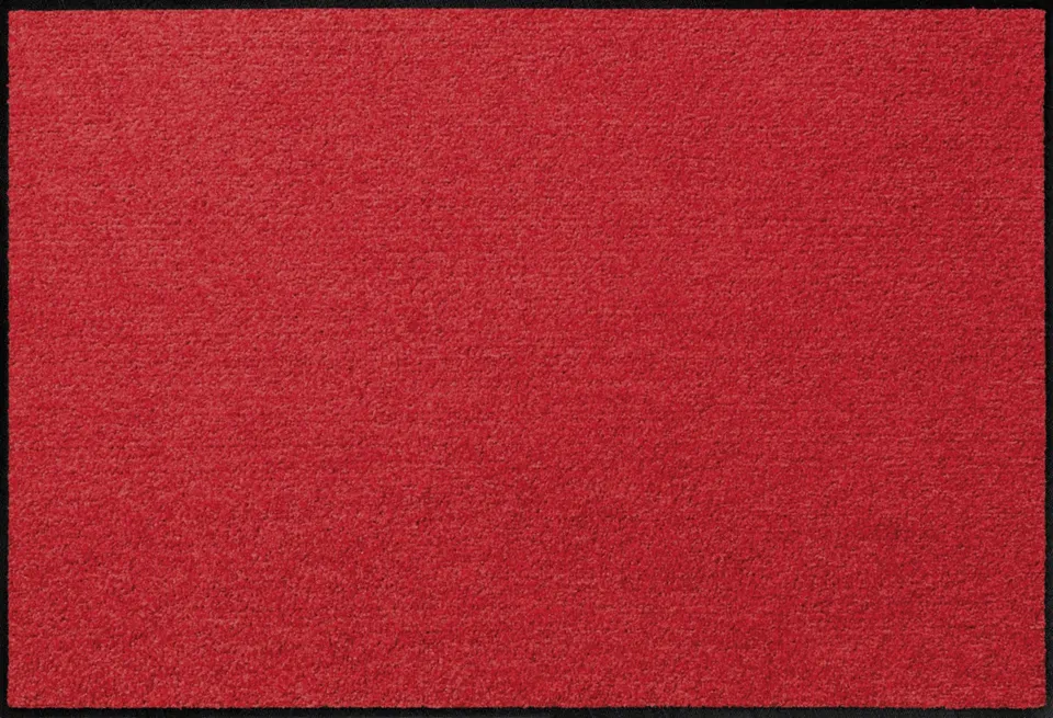 salonloewe-rot-sonderform-75-x-120-cm image 1