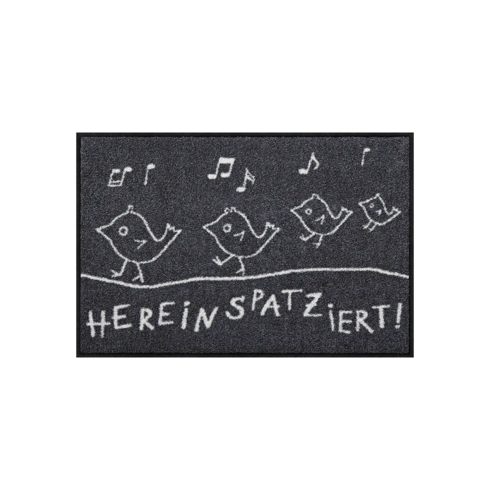 salonloewe-hereinspatziert-eingangsmatte-50-x-75-cm-made-in-germany-fu-matte-mit image 1
